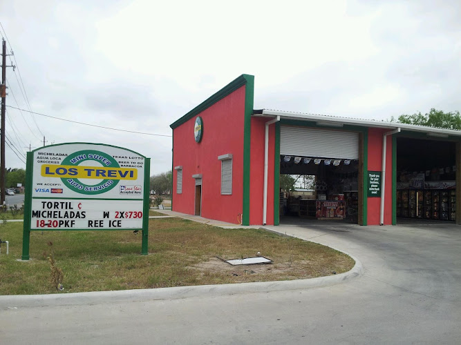 escuelas de manejo Brownsville