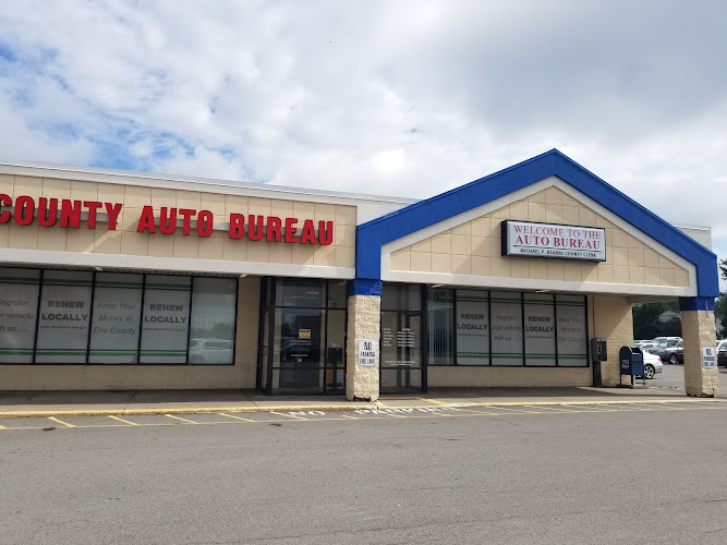 DMV Buffalo