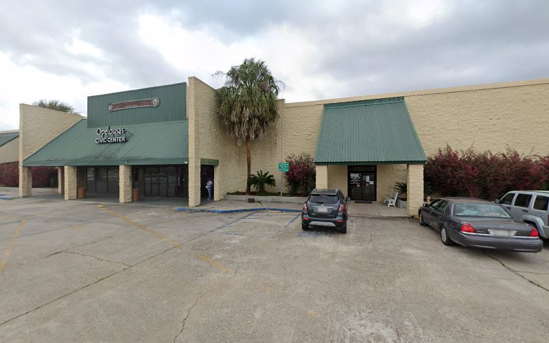 DMV Louisiana