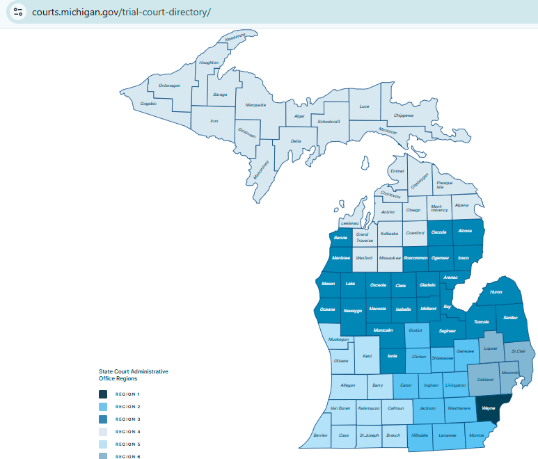 pagar multas de trafico en Michigan