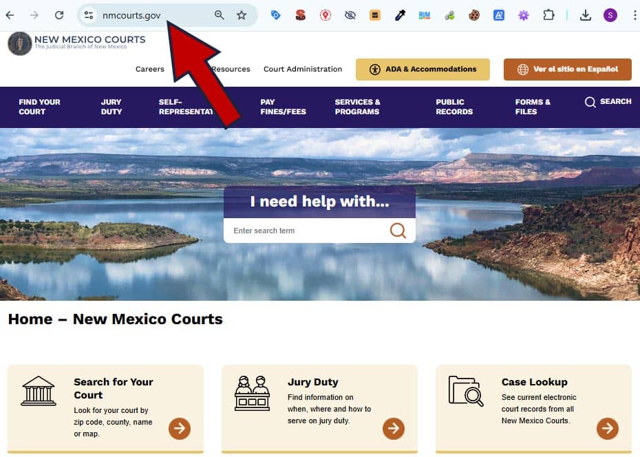 como saber si tengo multas de trafico en New Mexico